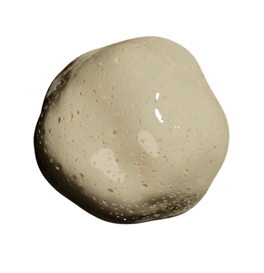 The Sourdough